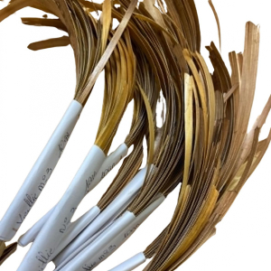 Paille de seigle Aplanie - Vieillie N°3 - 10 gr