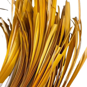 Paille de seigle Aplanie - Jaune Or - 10 gr