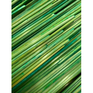 Paille de seigle Vert jaune