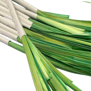 Paille de seigle Aplanie - vert jaune - 10 gr