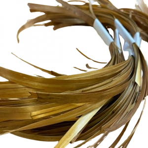 paille de seigle aplanie    or   10 gr