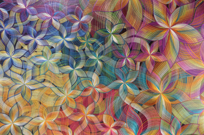 DE LA CRUZ Diego Andrés au Festival Nature Ain à Hauteville-Lompes du 23 au 25 mai 2025